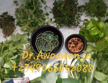 The best powerful spiritual herbalist native doctor in Nigeria +2349066052088