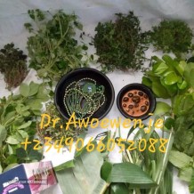 The best powerful spiritual herbalist native doctor in Nigeria +2349066052088